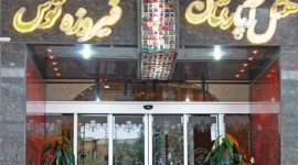 فیروزه توس